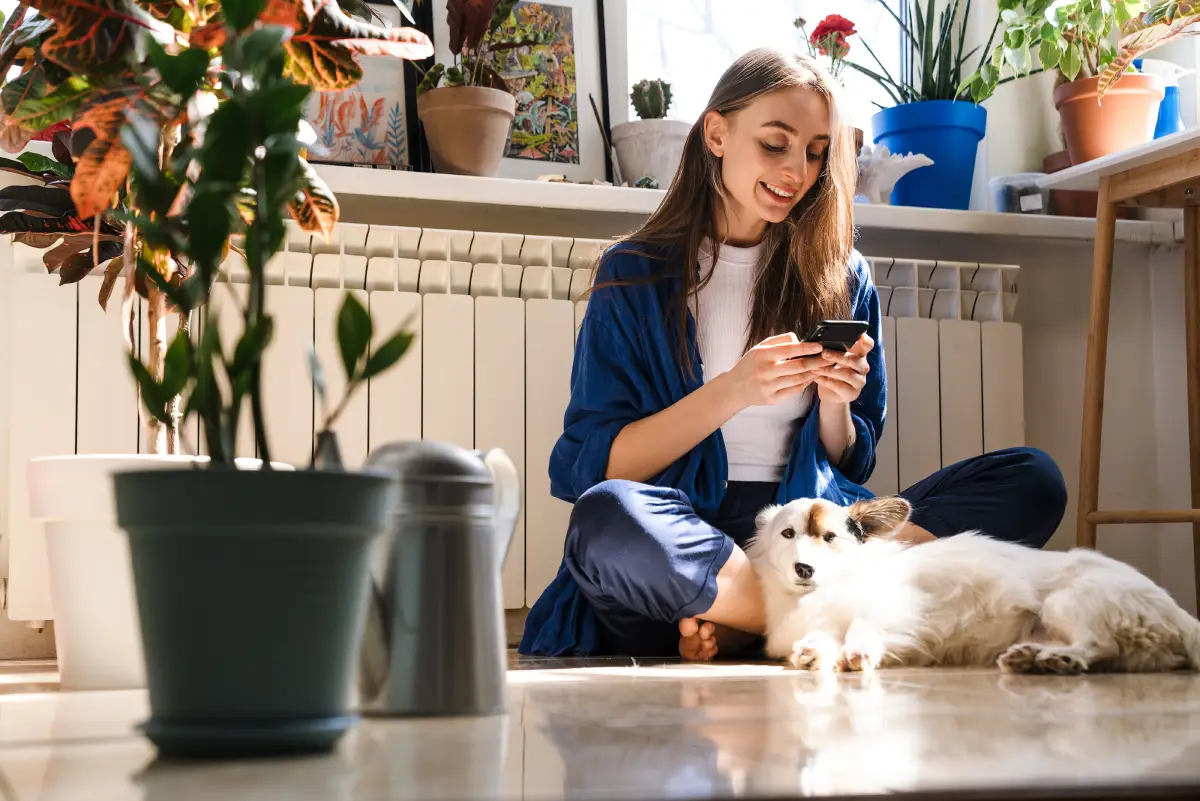 Pets and Properties: Building a Smart Pet Policy for Your Prescott Rental