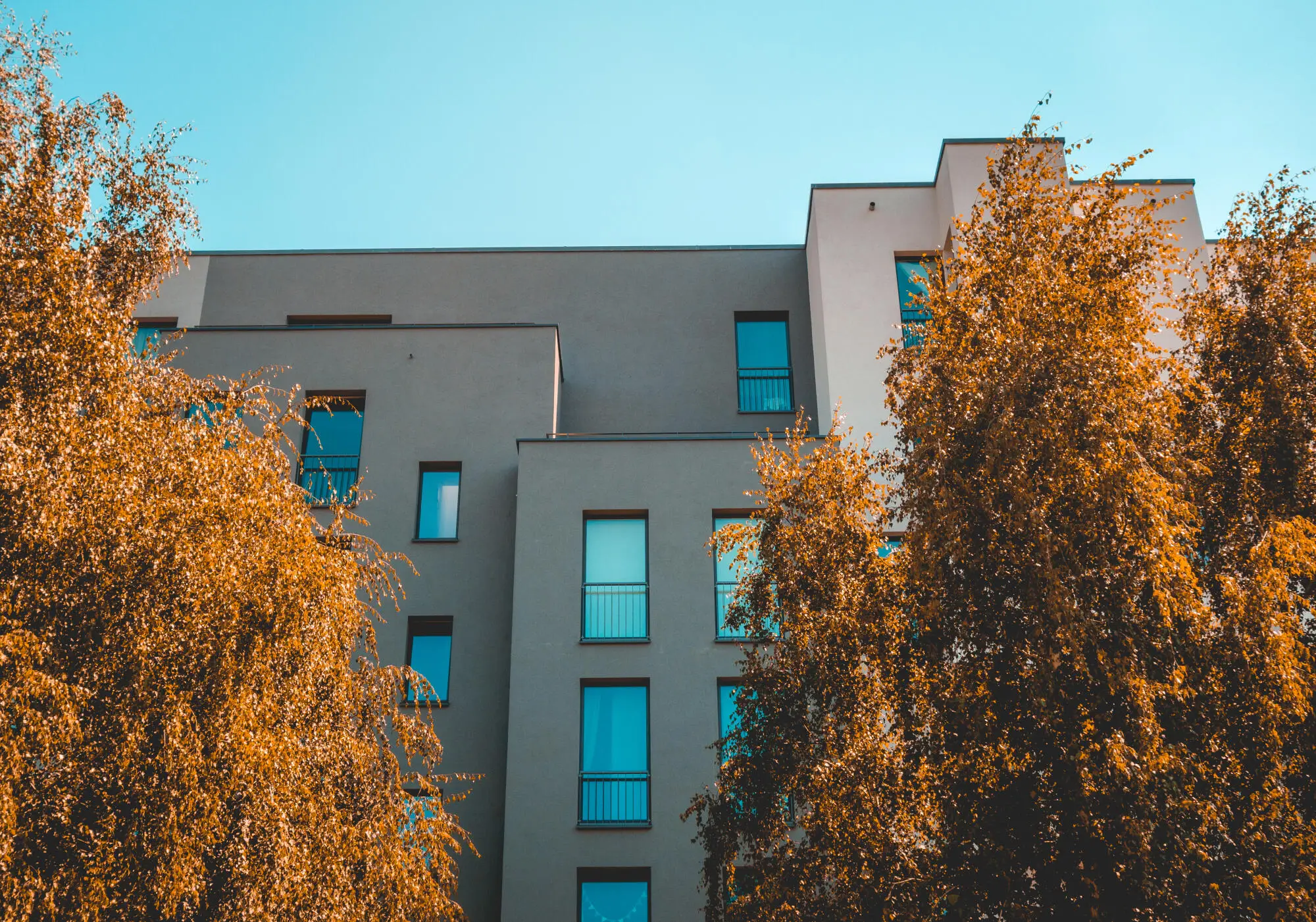 How to Run a Tenant Criminal Background Check in Prescott, AZ